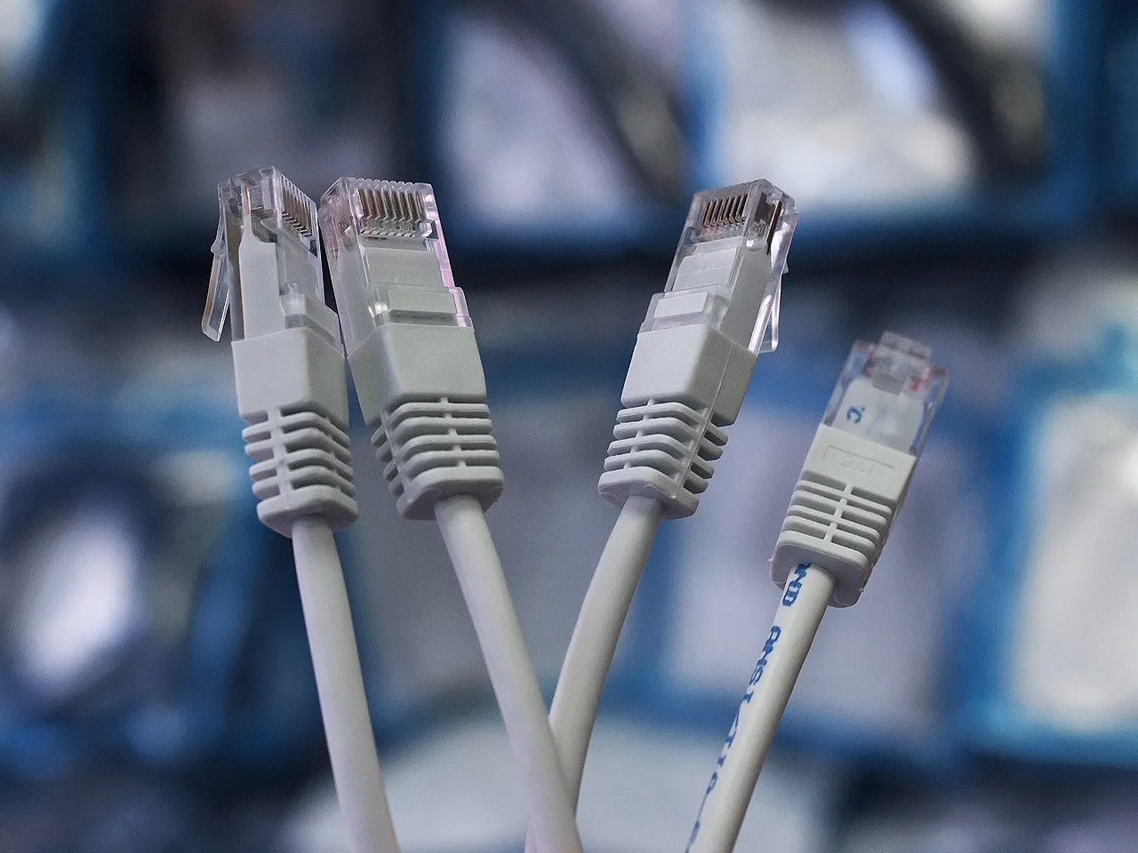 Four grey network patch cables with clear plugs held upright against a blurred blue background